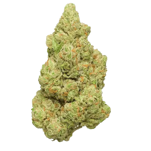 Amnesia Haze JSH