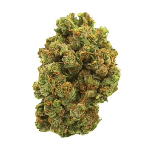 Mango Haze Premium