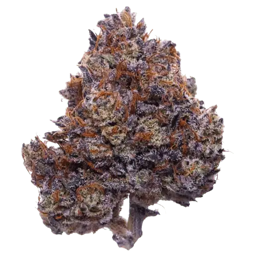 Purple Haze Premium